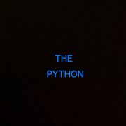 The_python